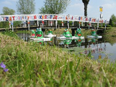 Er zaten 7 kikkertjes in de boerensloot