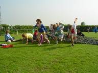 Tijgeren